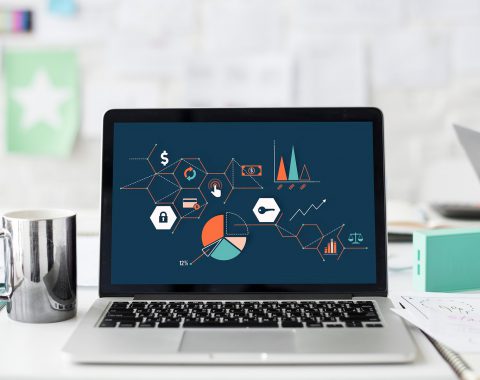 RGSoft Fênix ERP 2014